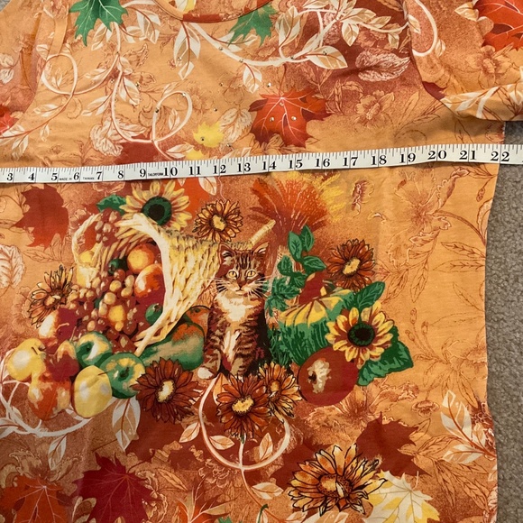 size XL, bust up to 44” inches, new condition, cat 🐈⬛ and cornucopia shirt - Picture 2 of 6